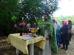 Водосвятный молебен на источнике Пресвятой Троицы