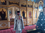 В Тихоновском соборном храме города Острогожска молитвенно отметили праздник Богоявления