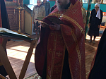 Божественная литургия в день памяти  свщмч. Евгения, пресвитера Ольховатского