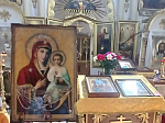 Состоялось принесение иконы Божией Матери «Оршанская» в храм Преображения Господня города Острогожска