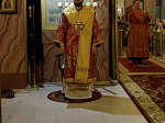 В праздник Светлого Христова Воскресения глава Россошанской епархии возглавил торжественное богослужение в Свято-Ильинском кафедральном соборе г. Россоши