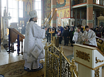 В Великую Субботу Правящий Архиерей совершил Литургию в Свято-Ильинском кафедральном соборе города Россоши