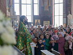 В праздник Входа Господня в Иерусалим епископ Дионисий совершил Божественную литургию в Ильинском кафедральном соборе Россоши