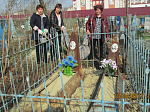 Жители Кантемировского района убрали места захоронений