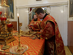 В Россошанском благочинии совершена соборная миссионерская Божественная литургия