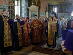 Епископ Россошанский и Острогожский Дионисий приняли участие в крестном ходе с иконой Божией Матери «Спорительница хлебов»