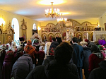 Преосвященнейший Андрей, епископ Россошанский и Острогожский, посетил с праздничным визитом приходы Острогожского благочиния
