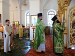 В Тихоновском соборном храме совершили празднование Дня Святой Троицы