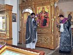 В селе Александровка - Донская состоялась соборная  литургия  