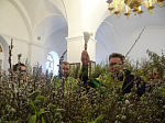 В канун Вербного воскресения в Острогожске совершили праздничное богослужение с освящением верб
