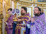 Правящий Архиерей возглавил богослужение в Спасо-Преображенском Толшевском женском монастыре