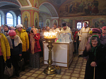 Престольный праздник в Михайловском храме на Песках в Острогожске