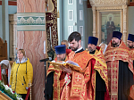 Глава Воронежской митрополии совершил архипастырский визит в Россошанскую епархию
