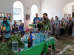 Приходы Павловского благочиния отметили День Святой Троицы праздничным богослужением