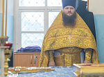 Архипастырь совершил Божественную литургию в храме Благовещения Пресвятой Богородицы села Лосево Павловского района
