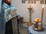  В селе Радченское Богучарского благочиния торжественно отметили престольный праздник
