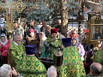 Престольный праздник Александро-Невского храма г. Россошь