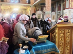 Паломники из Богучарского благочиния поклонились святыне в г. Россошь