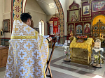 В храме святого благоверного князя Александра Невского молитвенно отметили День семьи, любви и верности