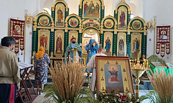 Казачий крестный ход в Подгоренском