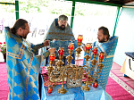 Перед местночтимой иконой Божией Матери «Достойно есть» в селе Семёновка соборно была совершена Божественная литургия