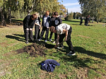 На территории Ильинского кафедрального собора города Россошь воспитанники воскресной школы высадили саженцы от 450-летнего дуба