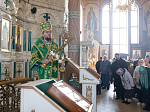 В праздник Входа Господня в Иерусалим епископ Дионисий совершил Божественную литургию в Ильинском кафедральном соборе Россоши