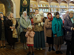 В понедельник Светлой седмицы епископ Дионисий совершил Литургию в храме Покрова Пресвятой Богородицы города Павловска