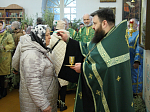 В Казанском храме Каменки молитвенно встретили Вербное воскресение