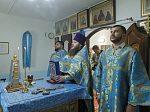 Правящий Архиерей совершил Божественную литургию в храме в честь иконы Божией Матери «Спорительница хлебов» села Галиевка Богучарского района