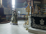 В пятницу Страстной седмицы Преосвященнейший епископ Дионисий совершил вечерню с выносом Плащаницы Спасителя в Ильинском кафедральном соборе Россоши