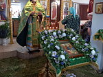 Троица в Богучарском благочинии
