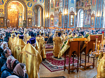 Епископ Россошанский и Острогожский Дионисий в числе сонма Архипастырей совершил Божественную литургию в Благовещенском кафедральном соборе г. Воронежа