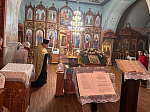 Епархиальная святыня - башмачок святителя Спиридона - в Павловском благочинии