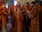 Епископ Россошанский и Острогожский Дионисий возглавил Божественную литургию в храме Архистратига Божия Михаила города Острогожска