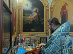 Епископ Дионисий совершил Божественную литургию в Свято-Введенском храме поселка городского типа Ольховатка