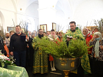 В Вербное воскресение в Свято-Тихоновском соборном храме г. Острогожска совершили праздничные богослужения