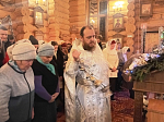 Праздник Рождества Христова молитвенно отметили в Успенском храме села Верхний Мамон