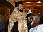 В Павловском благочинии совершили молебен о здравии Святейшего Патриарха Московского и всея Руси Кирилла