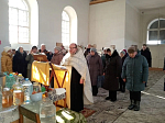 В Крещенский сочельник на сельских приходах Верхнемамонского района был совершен чин Великого освящения воды