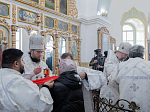 Архипастырский визит в Богучарское благочиние