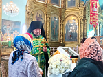 В храме святителя Афанасия Александрийского села Солдатское совершено соборное богослужение духовенства Острогожского церковного округа