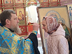 Прихожане Россошанского благочиния помолились перед чудотворной иконой Богородицы