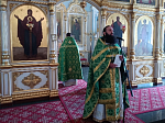 В Тихоновском соборном храме города Острогожска совершена миссионерская литургия