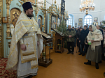 В Неделю по Рождестве Христовом Правящий Архиерей совершил Божественную литургию в храме иконы Божией Матери «Казанская» пгт. Каменка