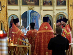 В день памяти преподобномученика Илариона (Цурикова) в Острогожском благочинии совершено соборное богослужение