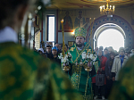 В праздник Входа Господня в Иерусалим глава Россошанской епархии совершил Литургию в Свято-Ильинском кафедральном соборе города Россоши