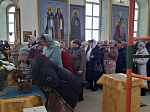 Богучарцы помолились Спиридону Тримифунтскому перед святыней