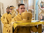 В день престольного праздника митрополит Воронежский и Лискинский Сергий посетил Всесвятский храм г. Воронежа