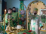 В праздник Святой Троицы Правящий Архиерей совершил Литургию в Свято-Троицком храме г. Россоши